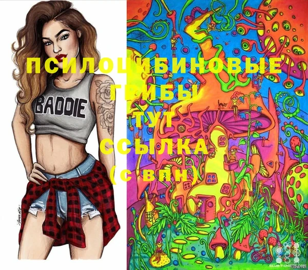 ECSTASY Алзамай