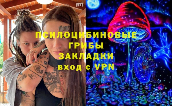 СК Алексеевка