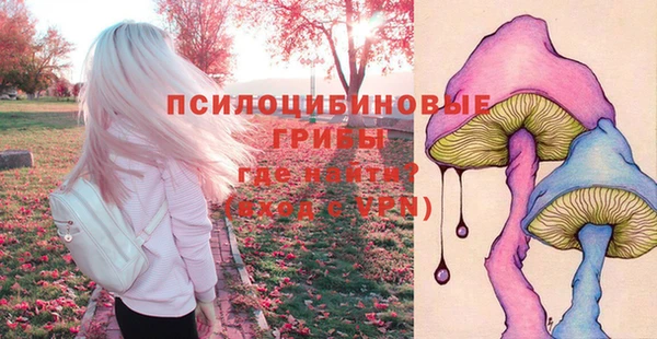 ECSTASY Алзамай