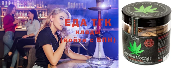 ECSTASY Алзамай