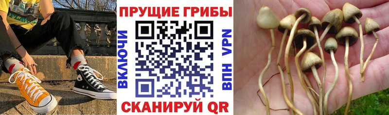 Псилоцибиновые грибы прущие грибы blacksprut вход Лаишево хочу