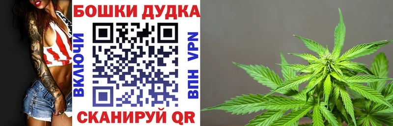 продажа наркотиков  Лаишево  Канабис Amnesia 